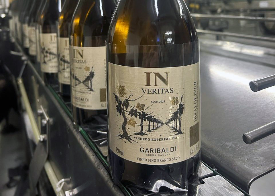 Isari Oliver, da Cooperativa Vinícola Garibaldi, prepara-se para chegar ao mercado - Crédito: Aline Lazzari