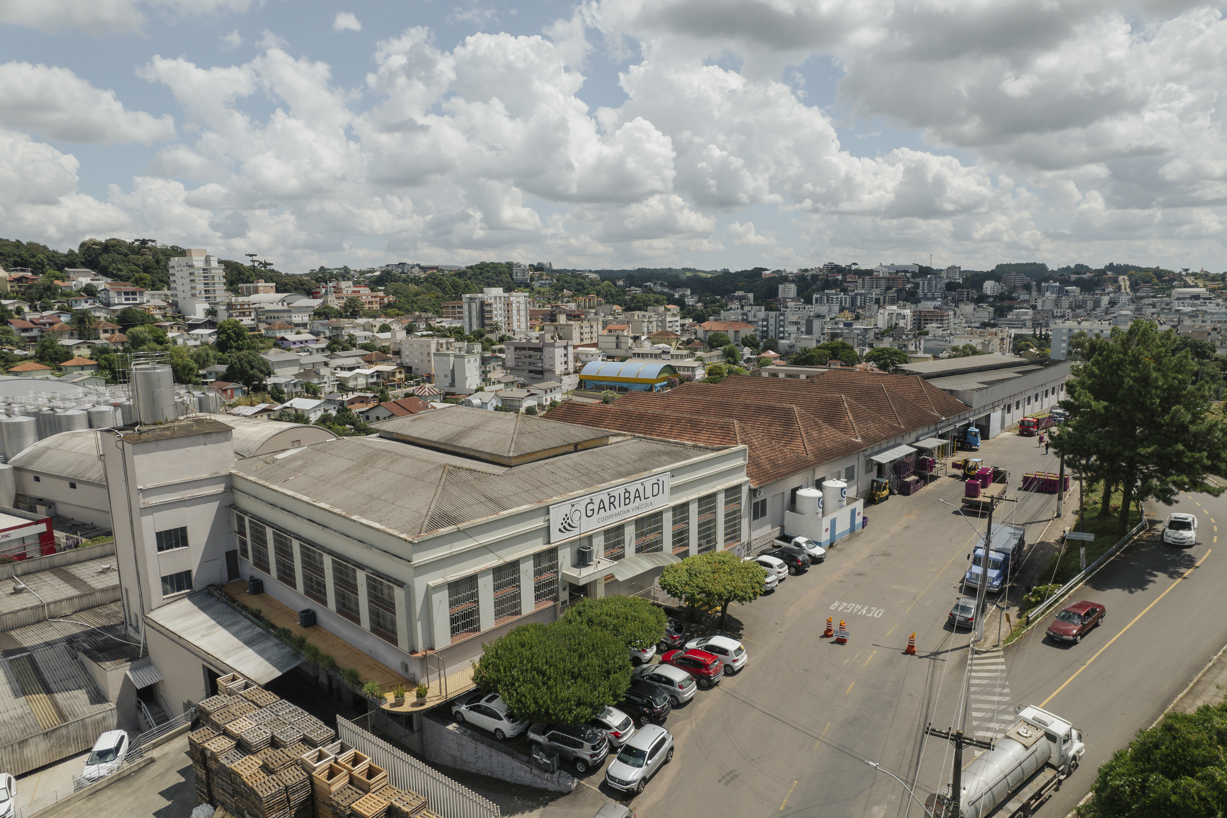 Cooperativa Vinícola Garibaldi completa 95 anos